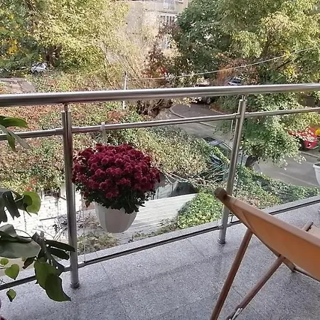 Cozy Grant בוקרשט